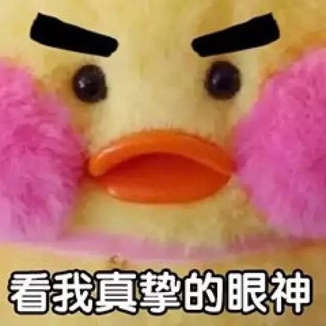 t014fdc5dd7a2ae61b2.jpg