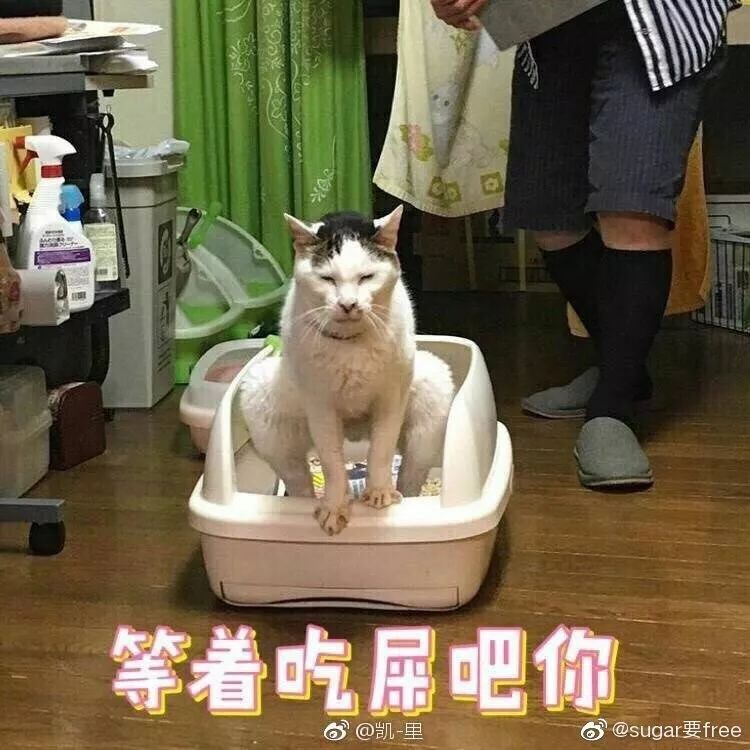 大型偷拍拉屎现场!偶像一条有女生的v偶像…味道这是动画片图片