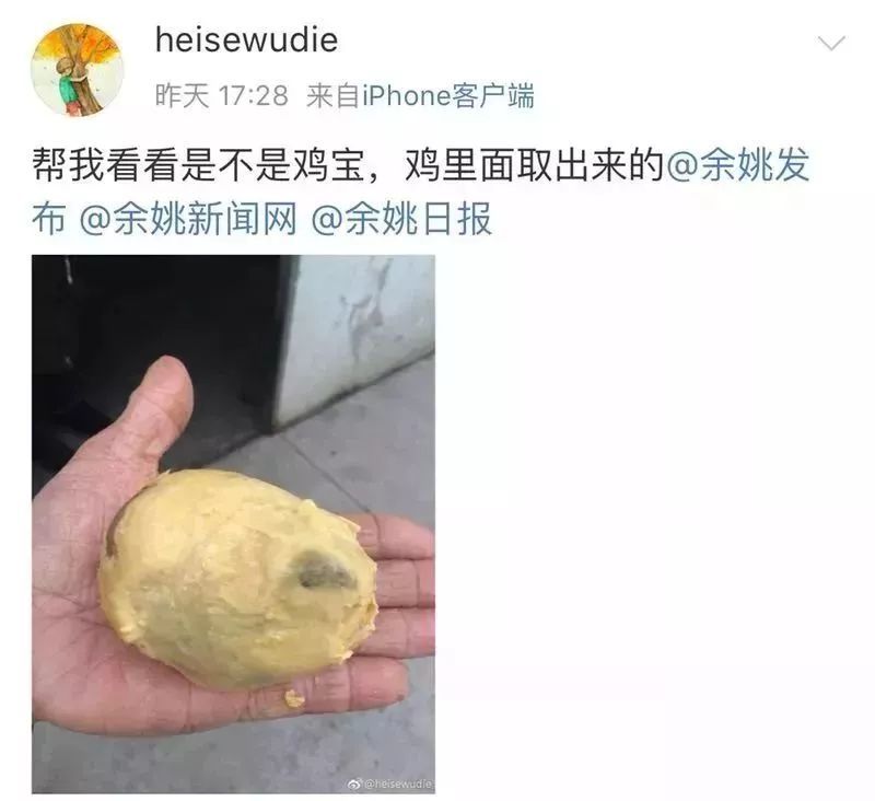 过年杀鸡取出了“鸡宝”，据说价值上千万?你可能想多了!