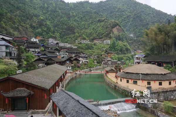 采春茶游苗寨 古丈茶旅正当时