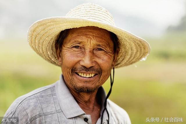 几种能让农民致富的蔬菜 种上10天就开始赚钱 自家土地能年入10万