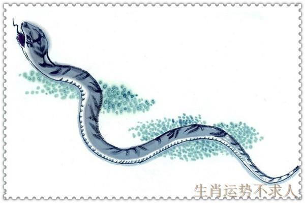 2018年，生肖蛇有发财的可能吗?