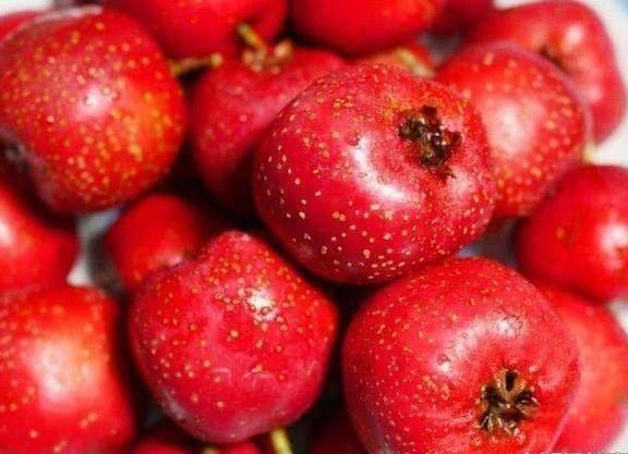 减肥晚餐吃什么好?这些消脂食物代替主食,去