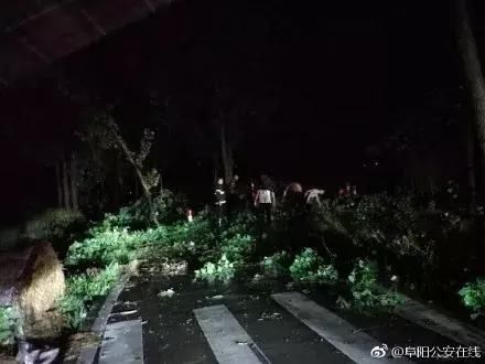 明天有暴雨！多图震撼直击：阜阳昨天的10级大风，156毫米降水后