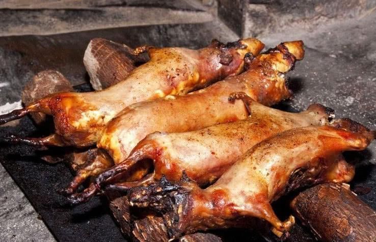 越南人嗜吃老鼠成瘾，当地野鼠难求，都是人工饲养的!