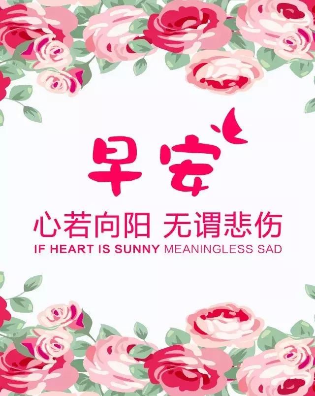 2019最漂亮早上好图片大全画小表情包图片可爱手动态最新版早上好图片