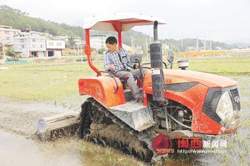 龙岩上杭官庄:机械化规模种植 助力农户增产增
