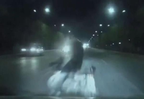 被撞死了全责怎么办