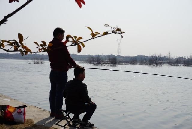 春节闲逛走拍洛阳百态之四：瀍河洛浦梅花艳，桥飞蛟龙丝路长