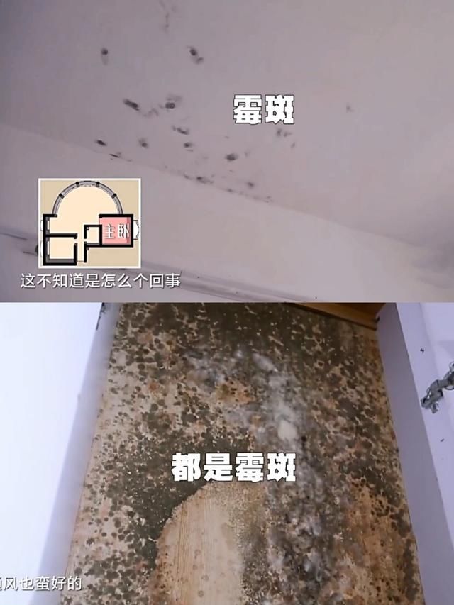 40万买180湖景房，还没入住就后悔了！开门全是霉斑，太吓人了