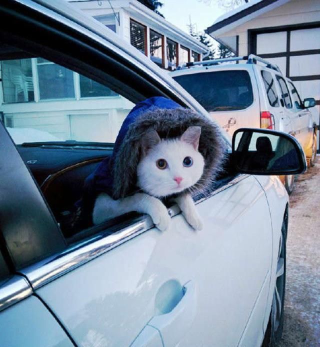 日食环出现的时间