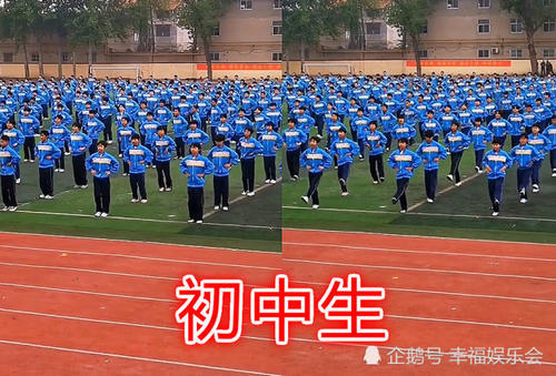 兔子舞风很大,小学生OK,初中生OK,看到视频杨建平2013v兔子大学图片