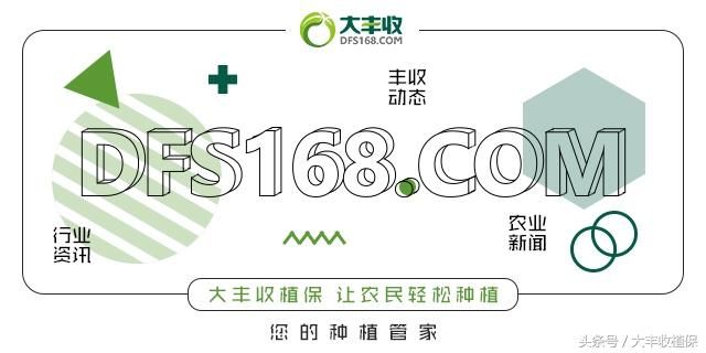 600万都不卖！农村别墅专治城里人的焦虑和不安