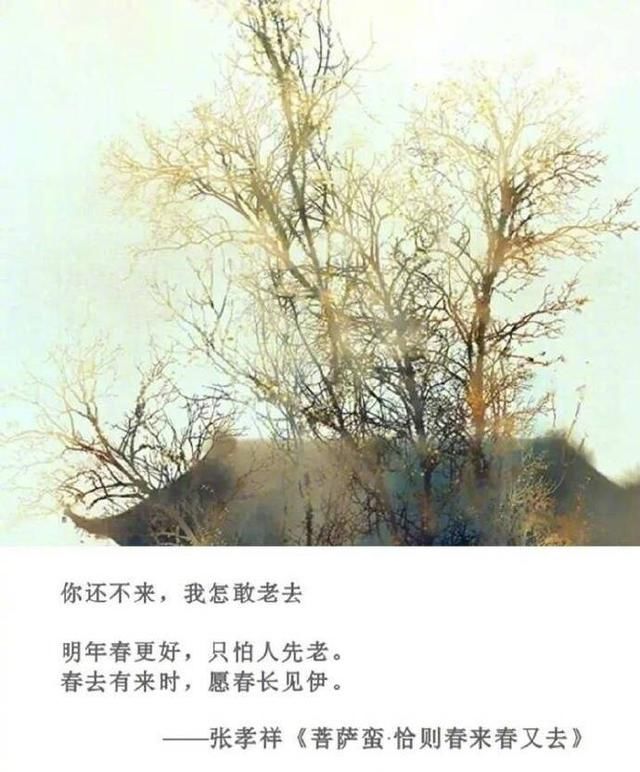 美好的诗句,让人有种恋爱的冲动