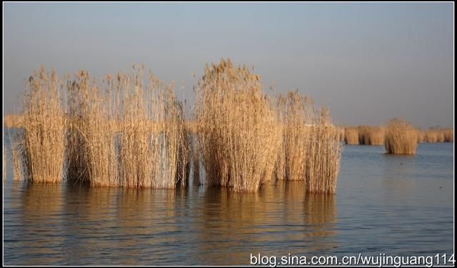 实拍:冬季到宁夏看沙湖奇景