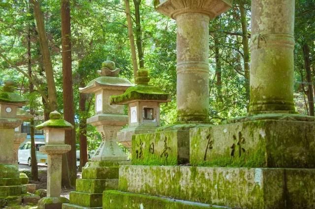 干货满满的日本关西旅游攻略来啦~|日本旅游