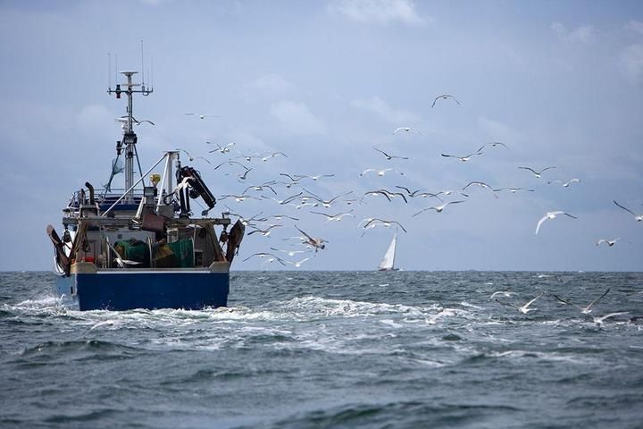 普陀国税局首创远洋捕捞企业免税发票管理办法
