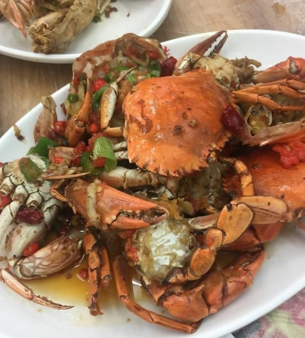 碧海蓝天 海天一色,这就是美丽的大三亚