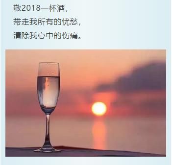 人生在世:敬 二零一八 一 杯酒!
