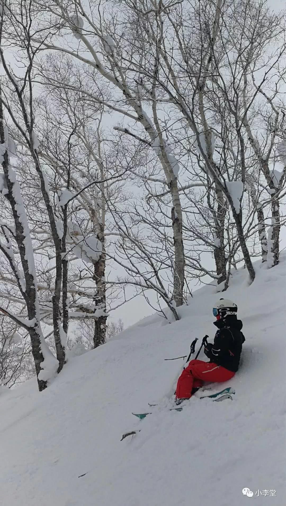 带着雪板去旅行，带着画本去滑雪