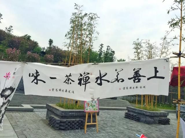 青白江凤凰湖的樱花终于开了，门票免费，再也不用去日本看樱花啦