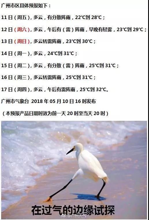 南沙率先试点共有产权房!可买6成产权!