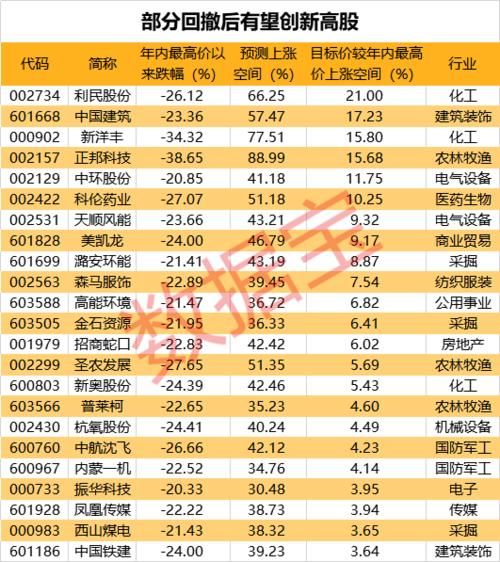 2019最高价股票