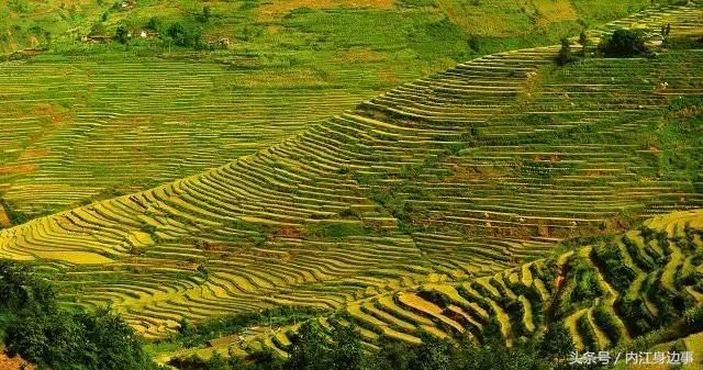 内江生活｜内江周边藏着的几个山水梯田，风景美如画！一天来回！