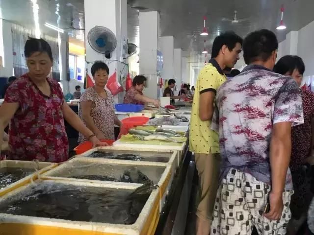 中国也有个美如希腊的小岛，这里有星辰大海也有最平静的渔村生活