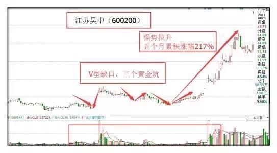 中国股市最赚钱的人：只有这种股票值得散户投资！