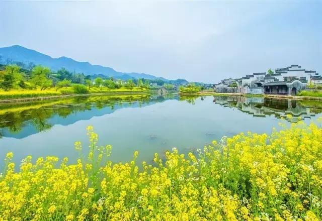 到了安徽只知道黄山就太可惜了，这个三月不可错过的人间天堂