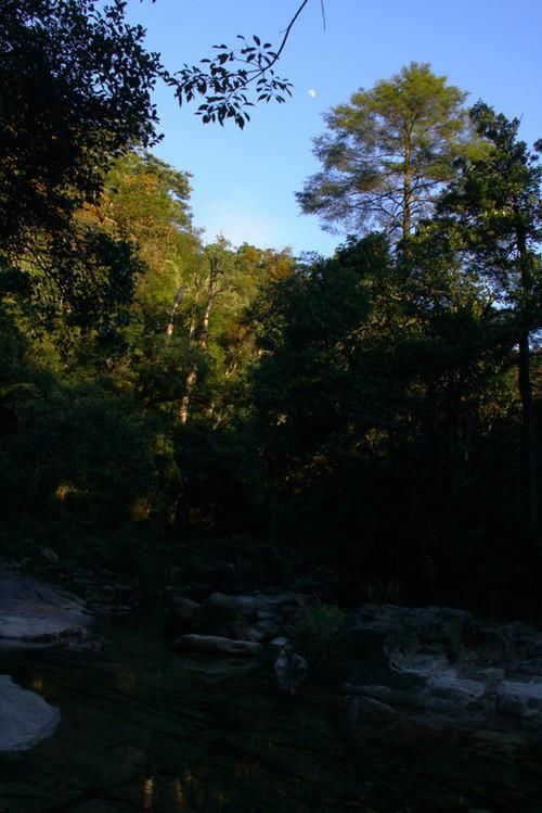 莽山国家森林公园风光