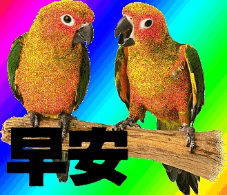 2018最新版漂亮早上好图片表情表情包缺吗的男朋友大全动态特别图片