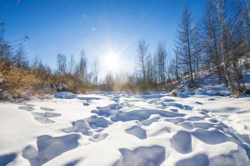 漠河：灰树白雪美景浑然天成