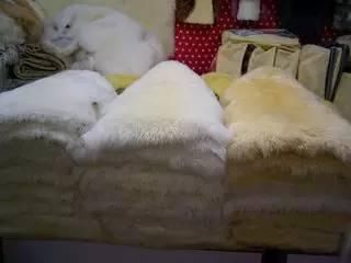 小长假别再出国了!浪了青海，就等于浪了全世界，不信你看!