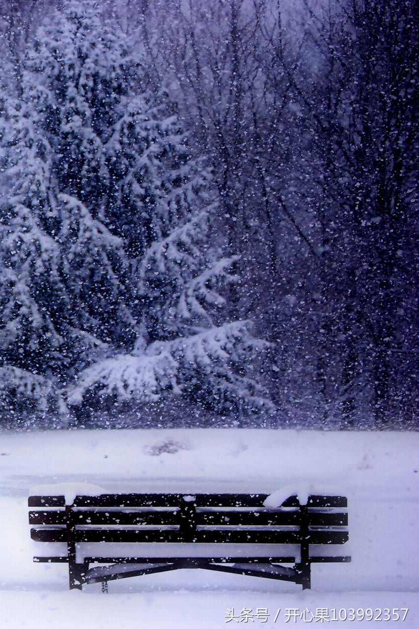 53张适合做手机壁纸的精美竖版雪景图片集,希