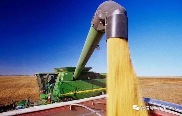 美大豆如被加税会怎样? 对中国影响有限