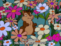 武汉30个春游免费景点大集合!踏青、骑行、拍照来这里就对了!