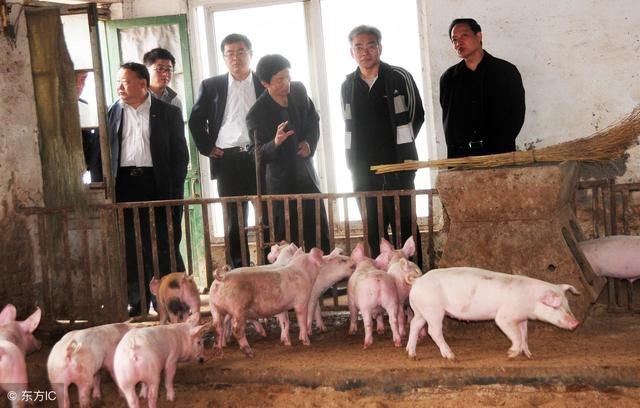 国家今年再次出手，农村这“四大难”问题有望破解 ！