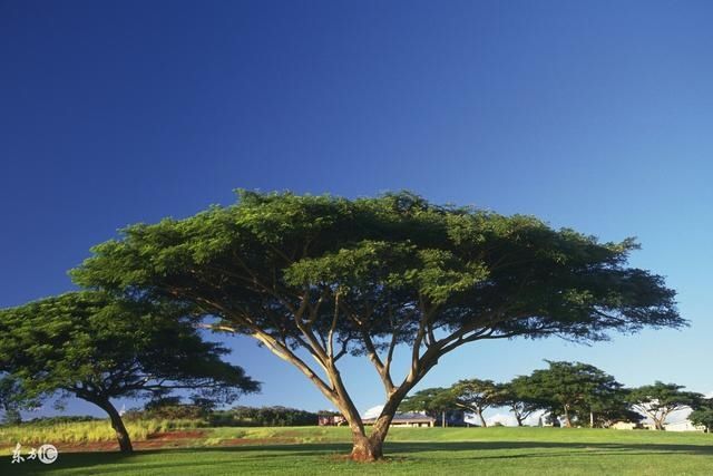 属兔人请注意:10月份,这几个地方尽量少去,别不