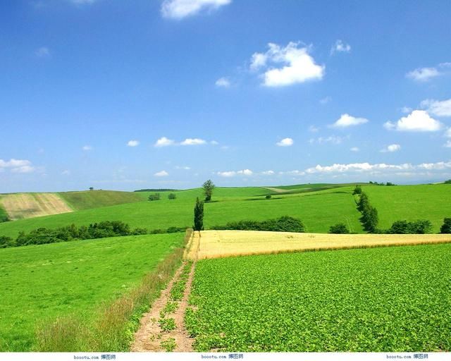 土地被征收了,会有哪些补偿?能拿多少钱?