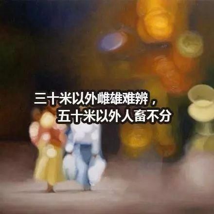 近视眼的世界，愿你永远不懂