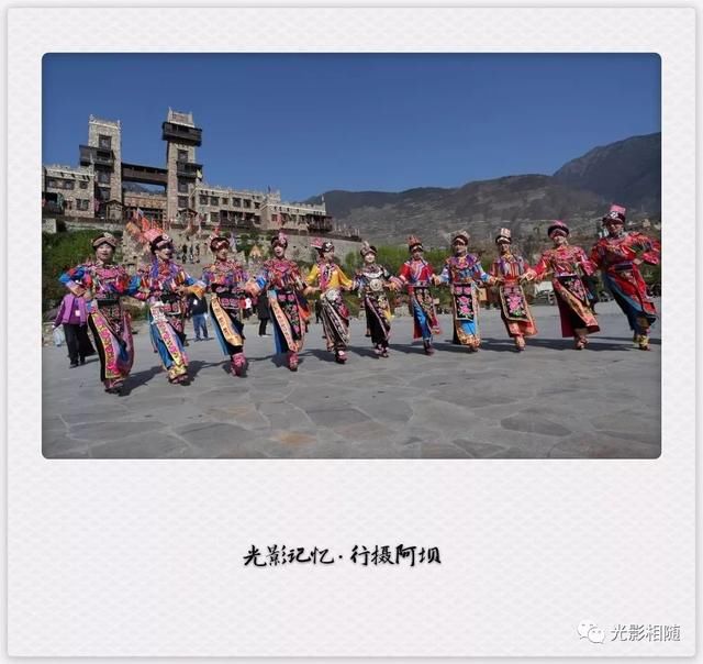 亲，你见过脆李花吗？