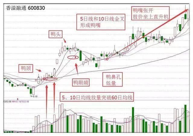 一位天才操盘手悟出的抄底绝技，总能做到就涨！