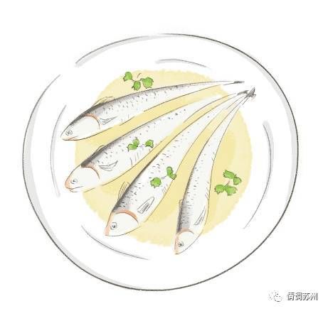 江刀开捕,5000元一斤!苏州人春天最奢华的时令美食已经上线!