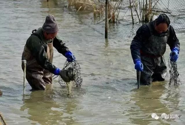 萧山的这样“绝活”你见过吗？得到的美味看着就让人流口水！