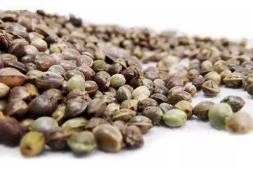 身体发出这3个信号暗示你血管堵塞了，六种食物经常吃下去，血管