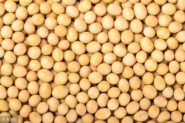 今天大豆多少钱一斤?近期黄豆价格走势分析