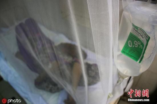 新加坡疫情现状