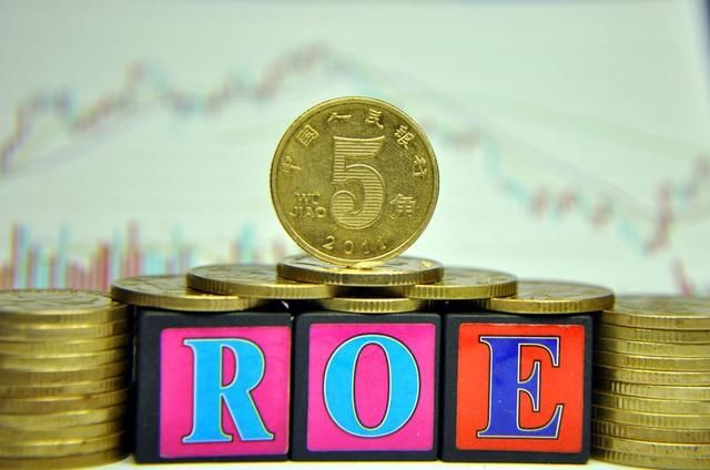 以基金的方式投资一个公司